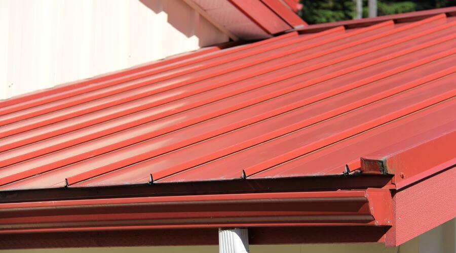 Industrial Roof Inspection in Princeton, AL